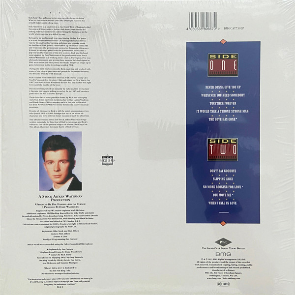 Rick Astley - Whenever You Need Somebody - LP