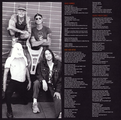 Red Hot Chili Peppers - (Unlimited Love Deluxe Edition) - 2LP