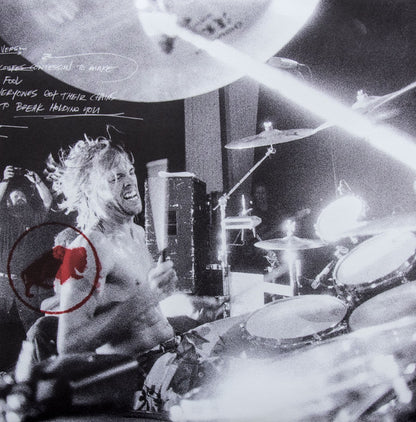 Foo Fighters - Greatest Hits - 2LP